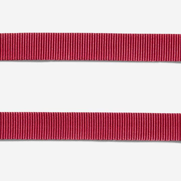 ZEEDOG COLLAR BORDEAU5