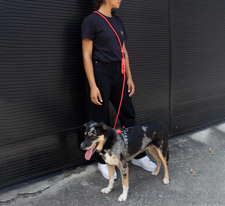 ZEEDOG HANDSFREE CORAL2