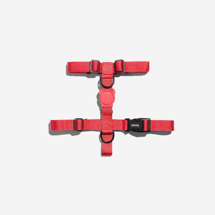ZEEDOG ARNES NEON CORAL1