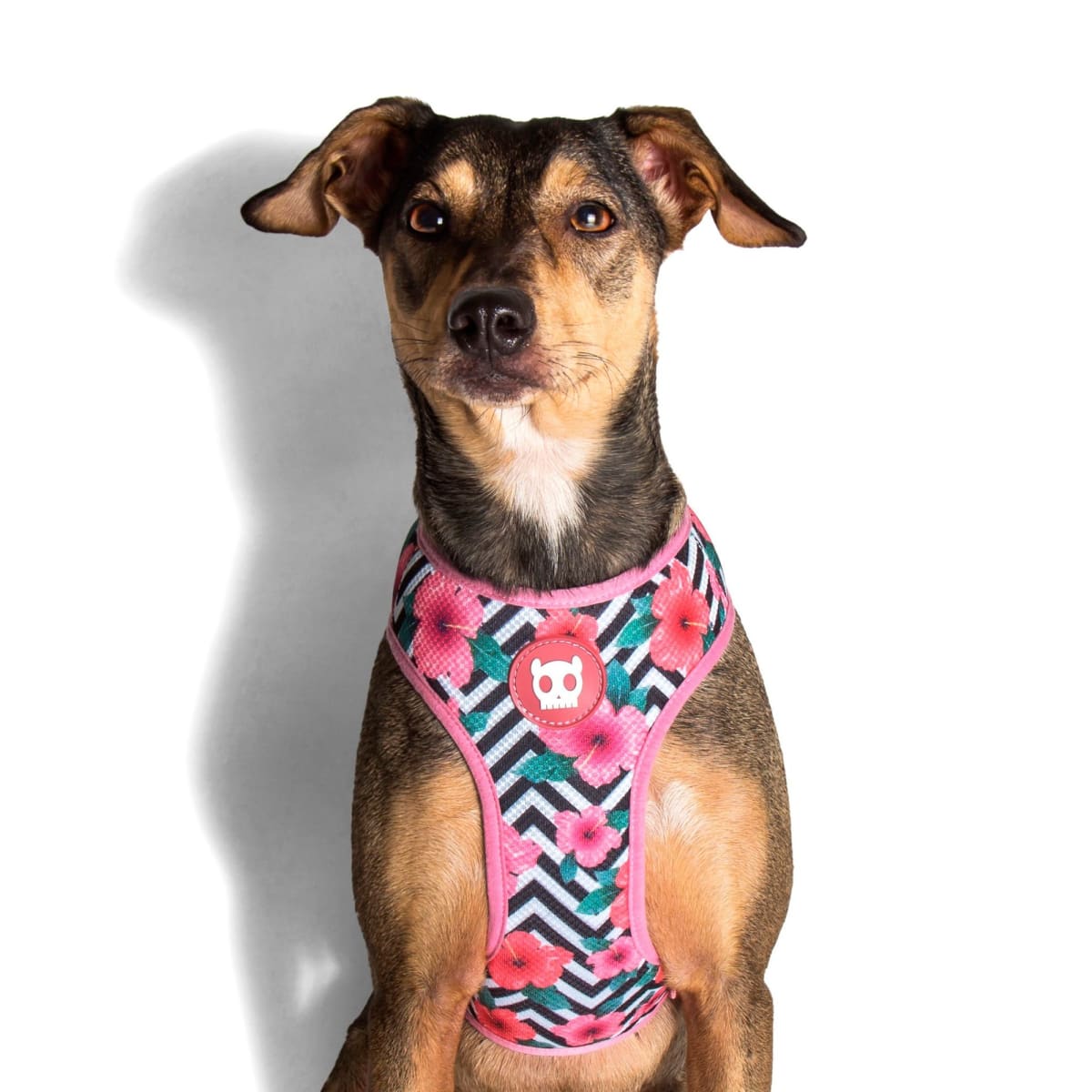 ZEEDOG MAHALO PECHERA AIR MESH2