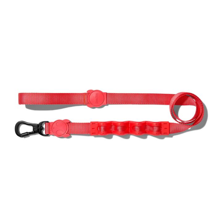 ZEEDOG CORREA RUFF NEON CORAL2