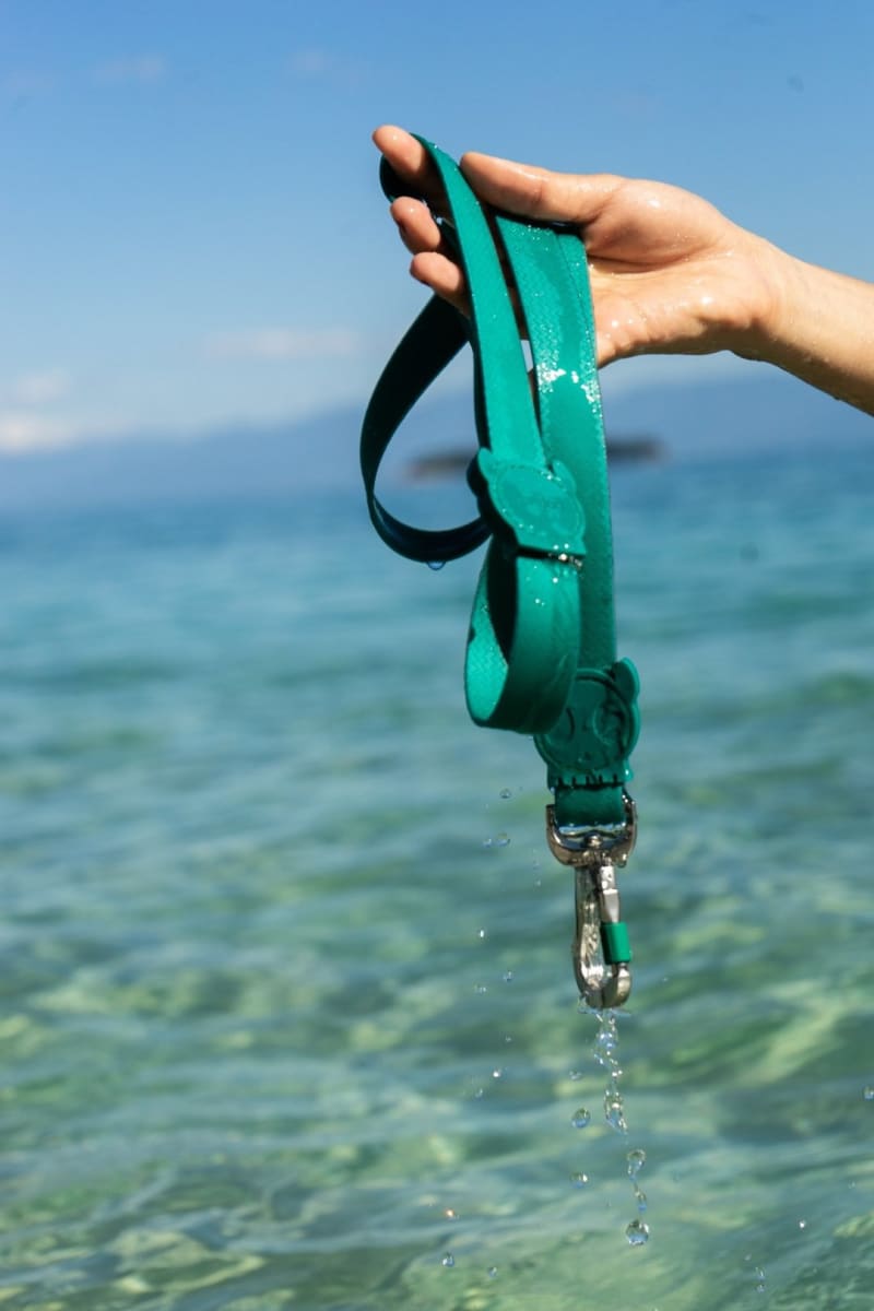 ZEEDOG CORREA NEOPRO AMAZONIA2