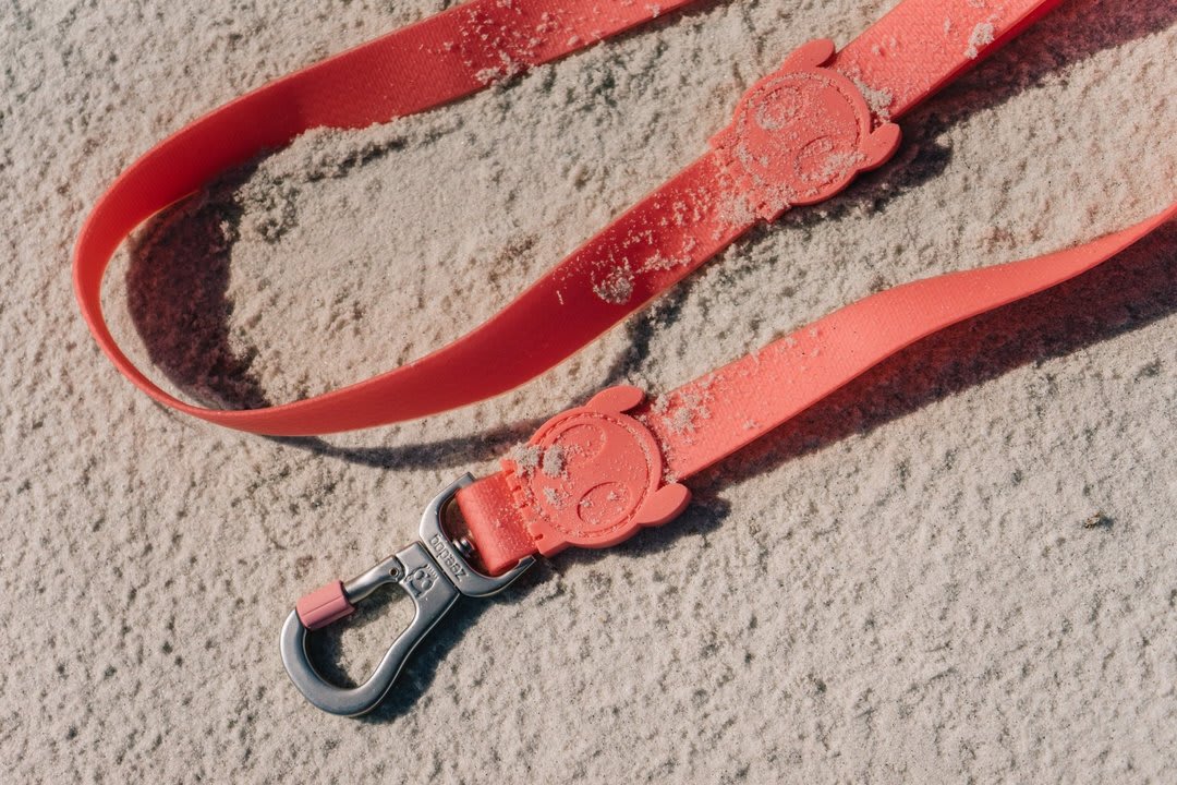 ZEEDOG CORREA NEOPRO BUBBLEGUM8