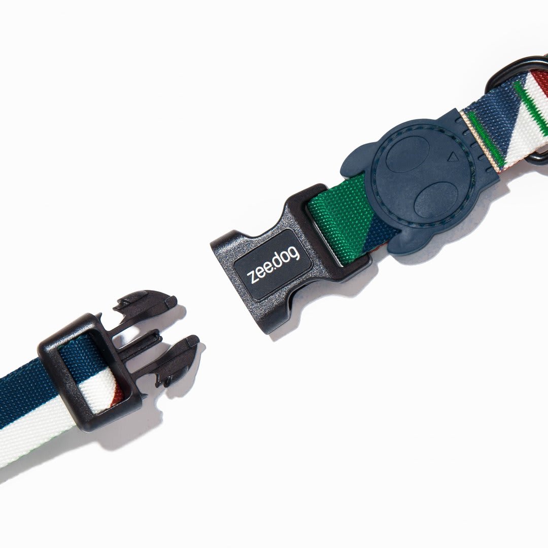 ZEEDOG COLLAR PACCO4