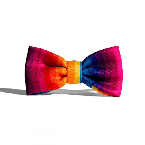 ZEEDOG CORBATA PRISMA1