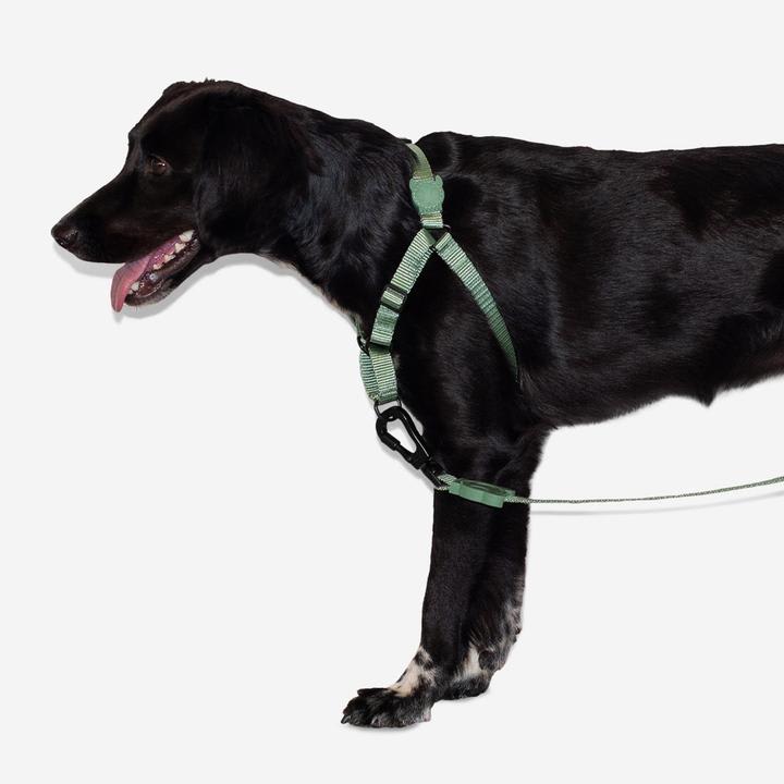 ZEEDOG SOFT WALK HARNESS ARMY3