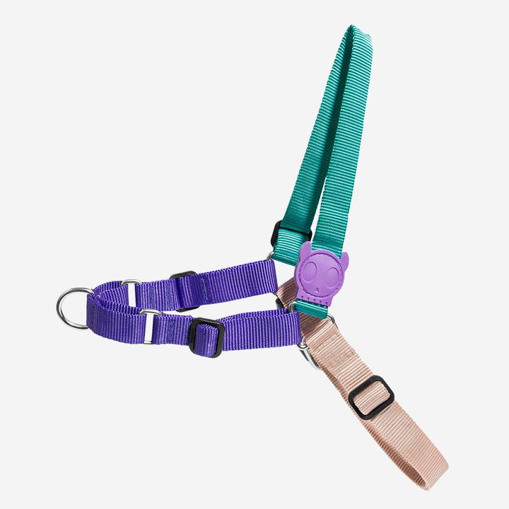 ZEEDOG SOFT WALK HARNESS BOOGIE1