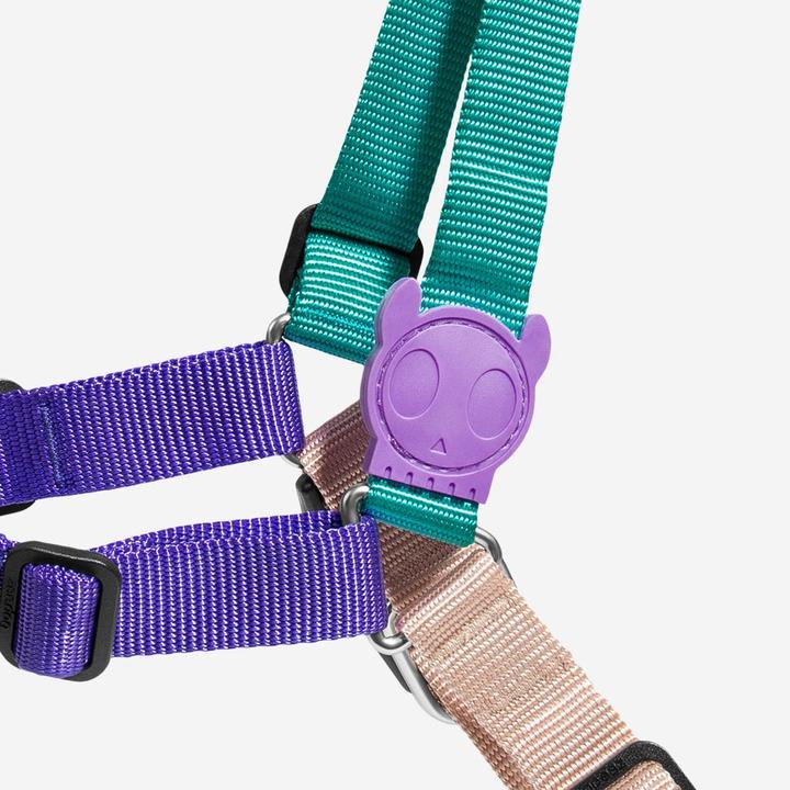 ZEEDOG SOFT WALK HARNESS BOOGIE4