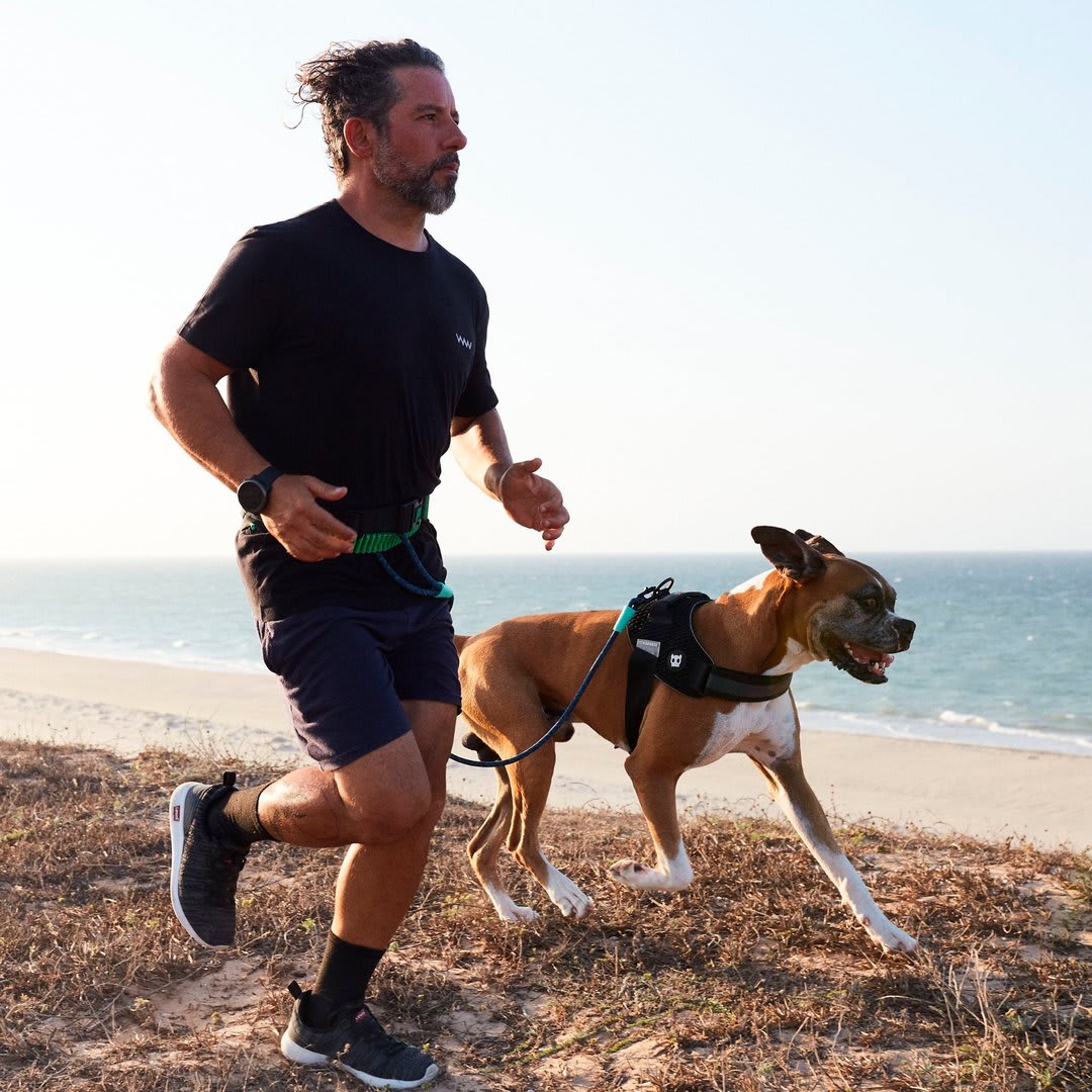 ZEEDOG ZEE.RUN BELT CINTURON SMALL3