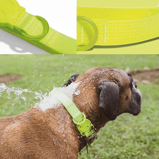 ZEEDOG COLLAR NEOPRO LIME3