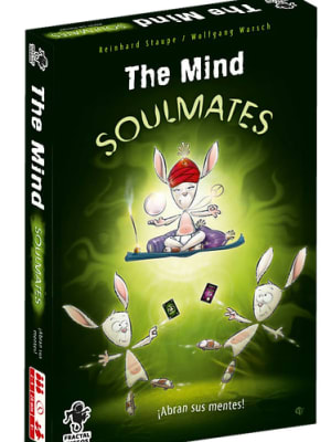 THE MIND SOULMATES