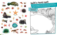 LIBRO DESPEGA Y DESCUBRE 0