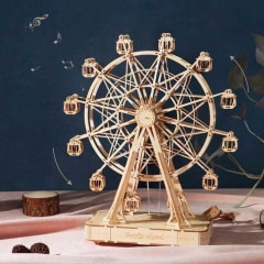 Ferris Wheel madera armable 1