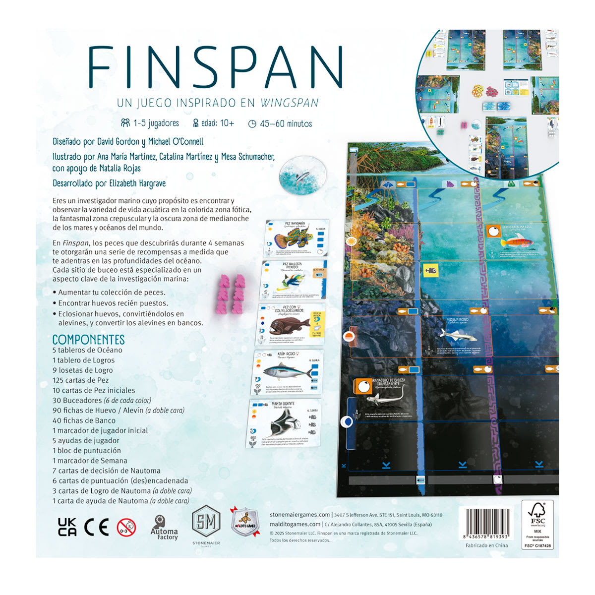 Finspan1