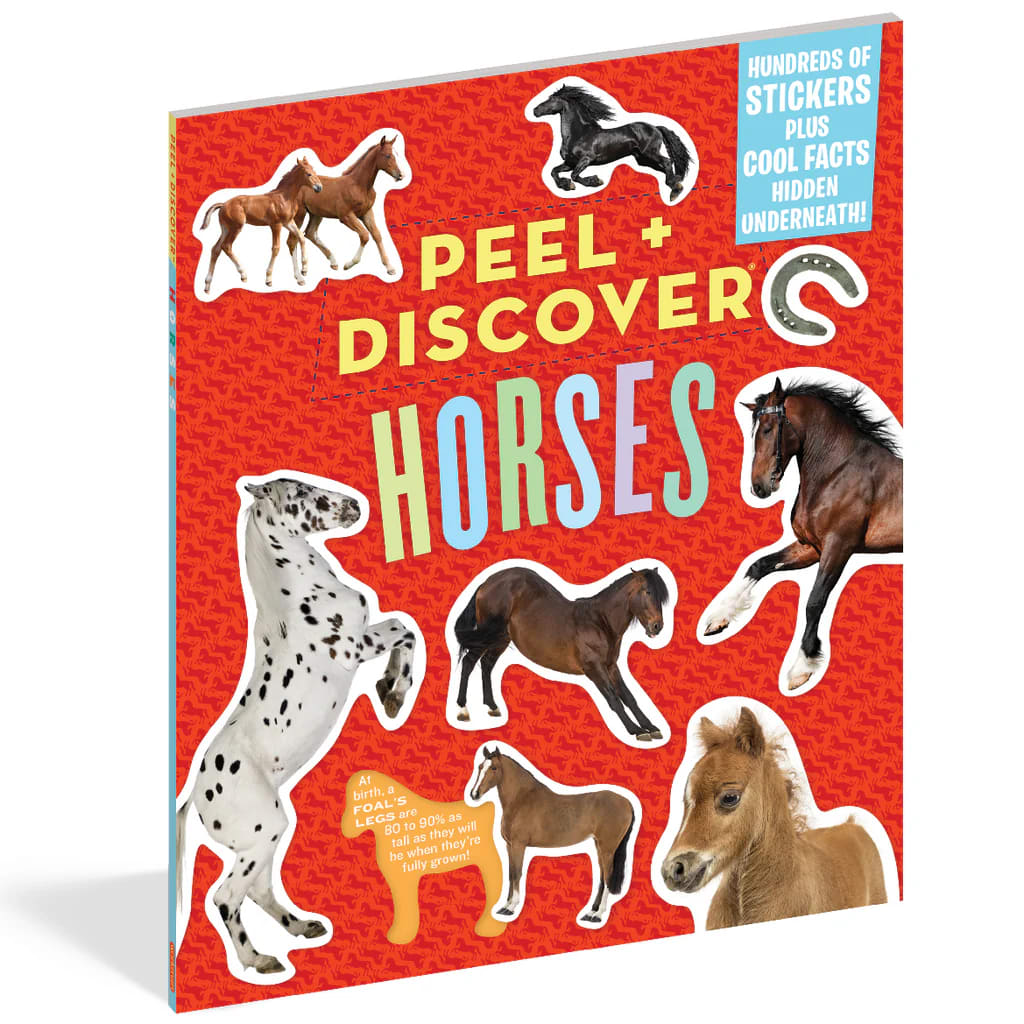 LIBRO DESPEGA Y DESCUBRE4