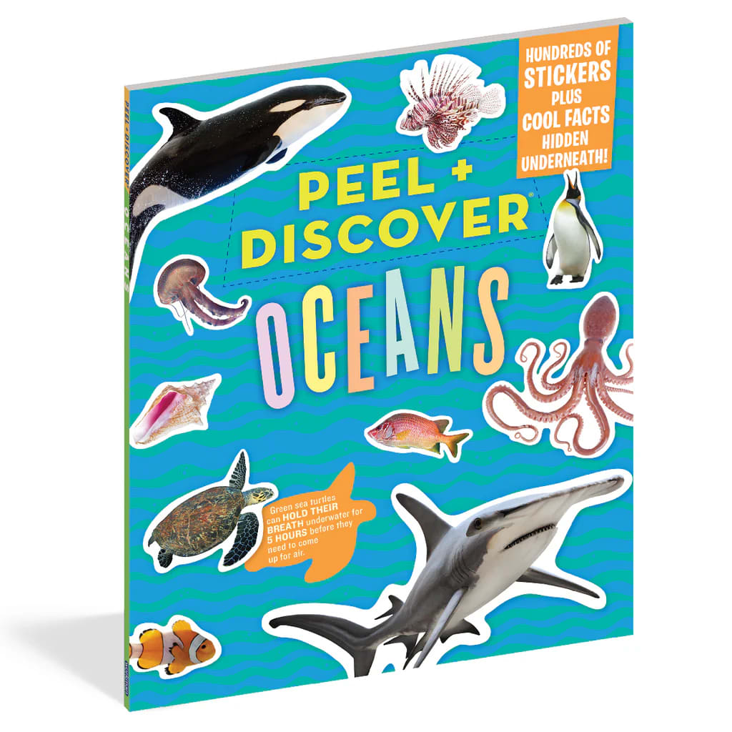 LIBRO DESPEGA Y DESCUBRE2