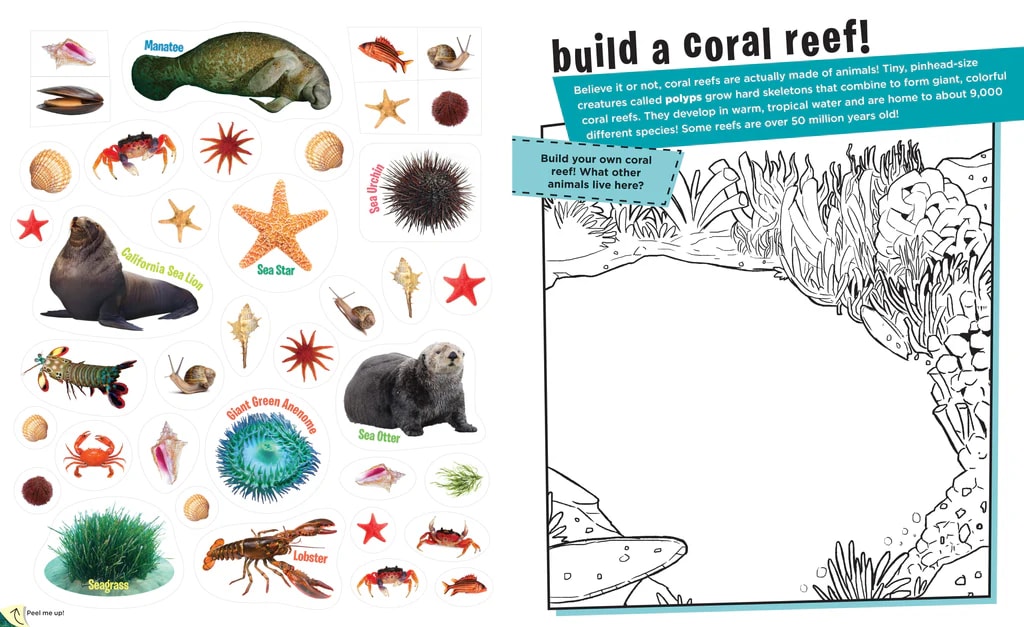 LIBRO DESPEGA Y DESCUBRE1