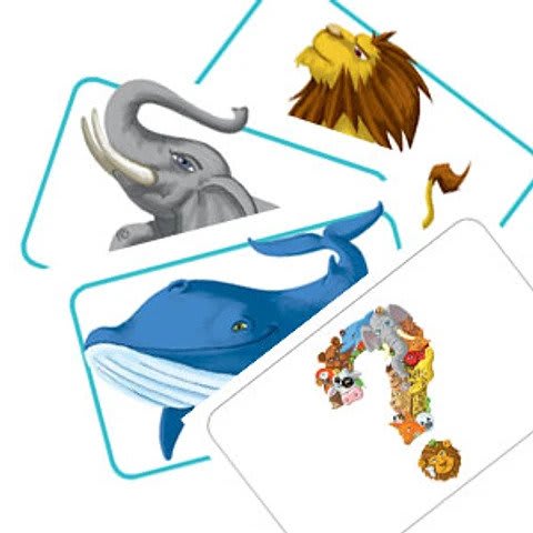 Concept Kids: Animales3