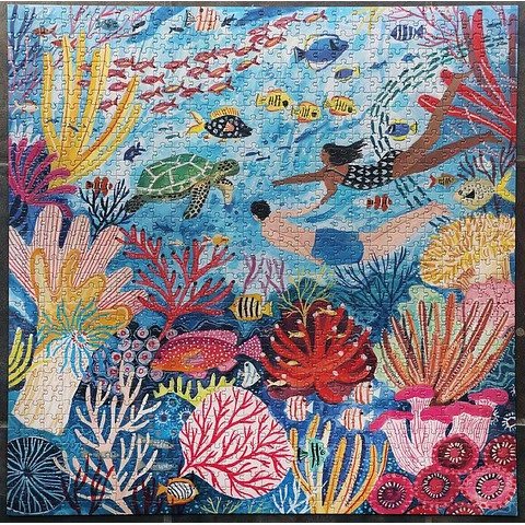 Eeboo: Coral Reef (1000 pcs)2