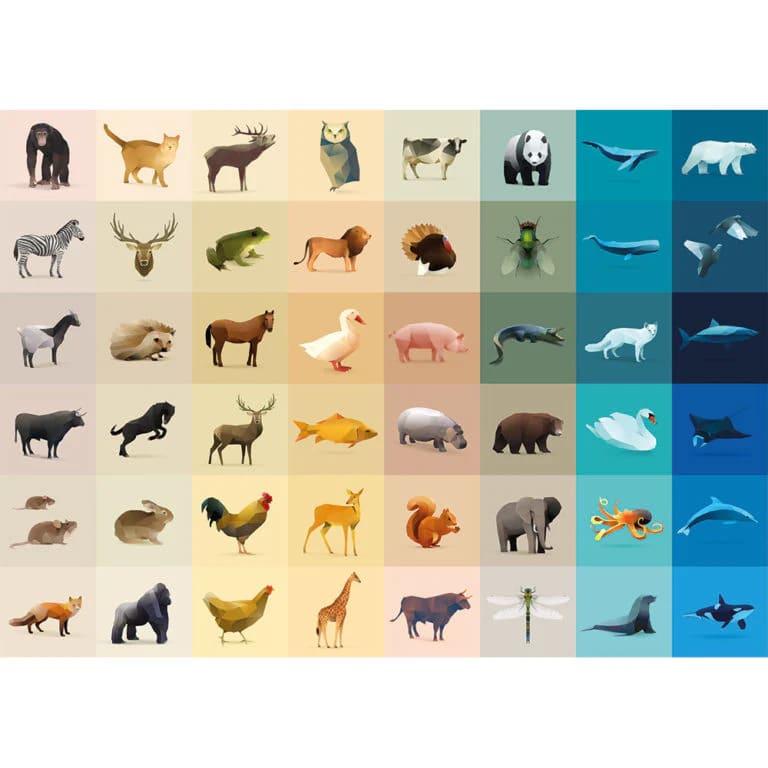 Cloudberries - Poster Puzzles (1000 Pcs)7