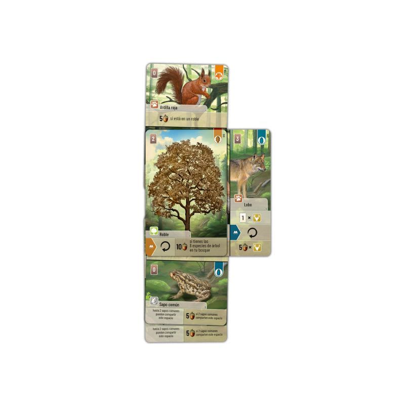 Forest Shuffle5