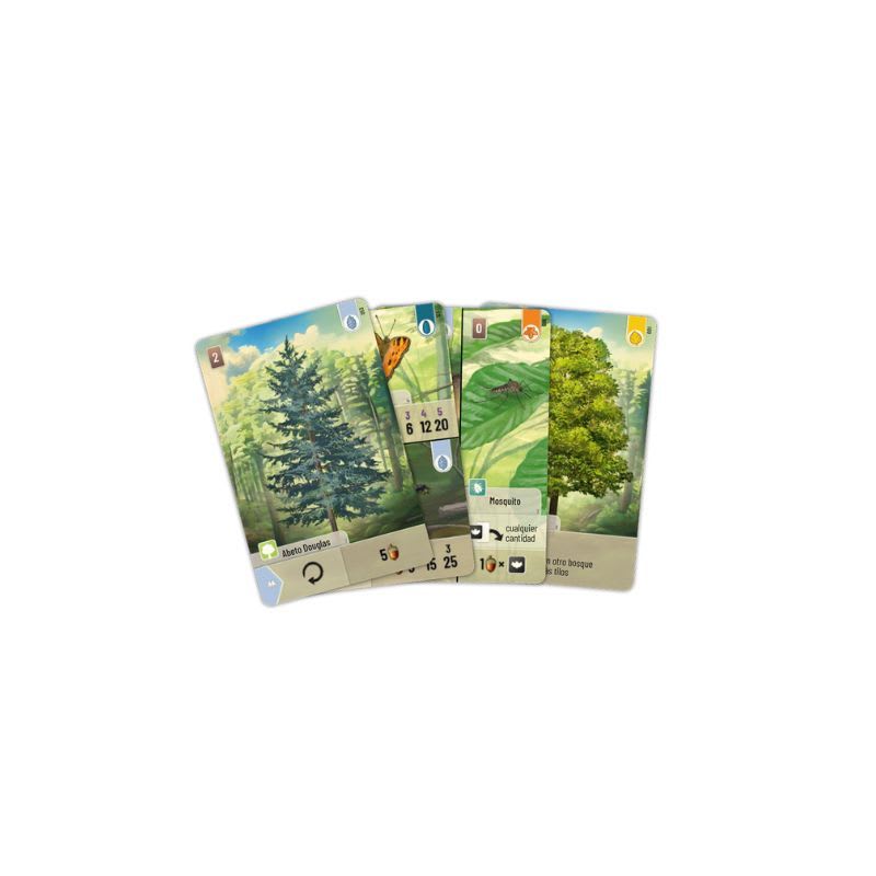 Forest Shuffle4