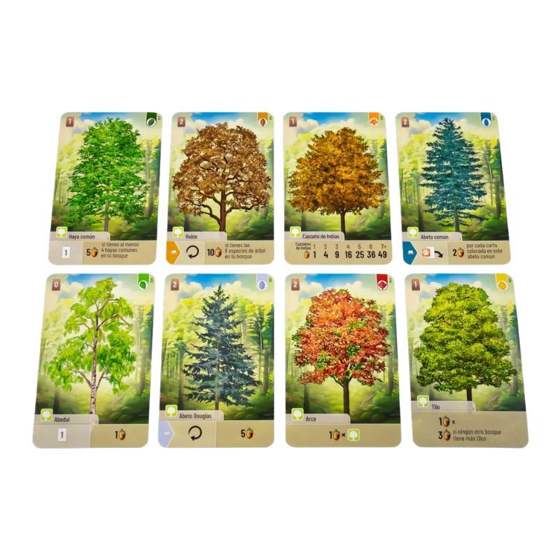 Forest Shuffle3