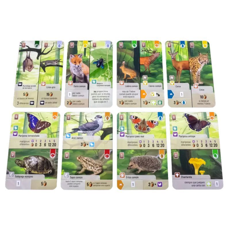 Forest Shuffle2