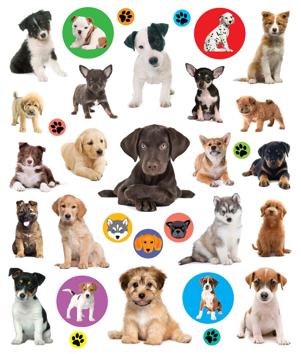 Libro Eyelike Stickers: Puppies2
