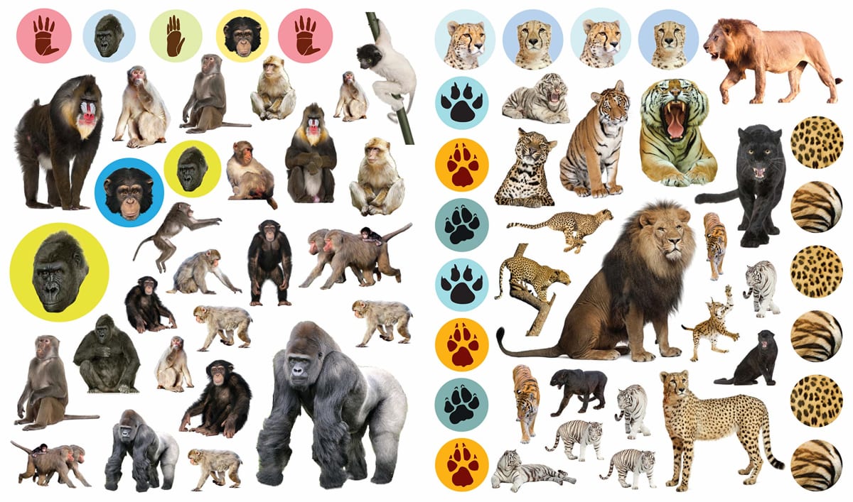 Libro Eyelike Stickers: Animales Salvajes3