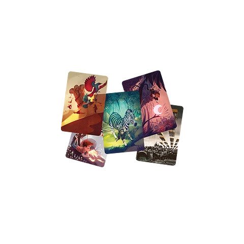 Dixit Anniversary5