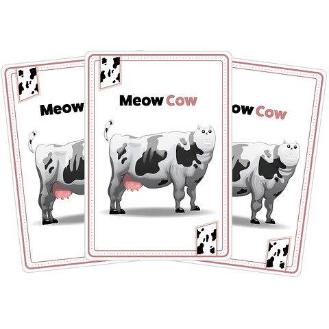 Throw Throw Burrito6