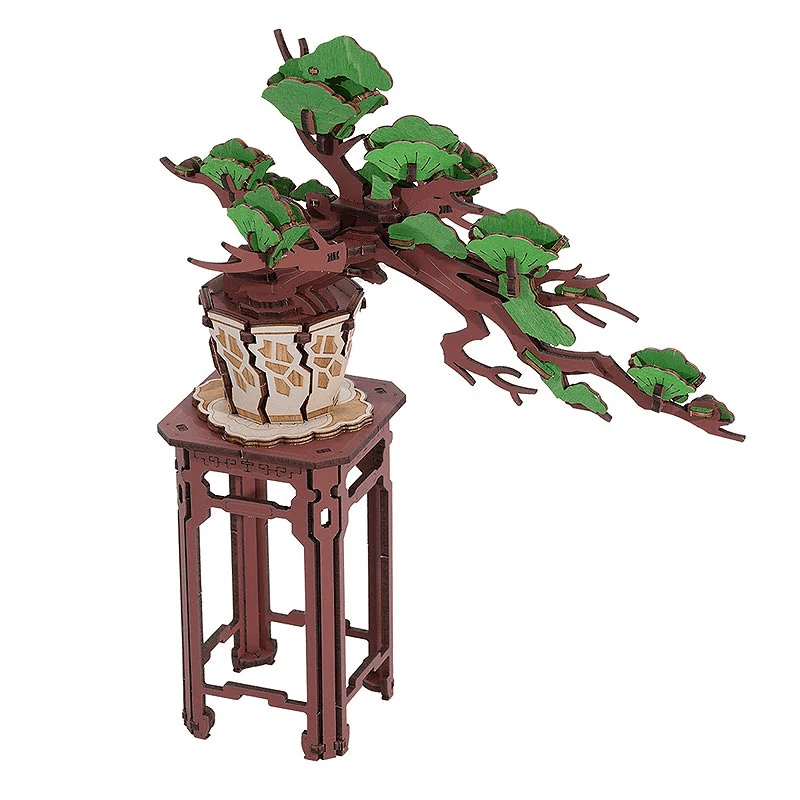 Bonsai Evergreen Pine Rolife3