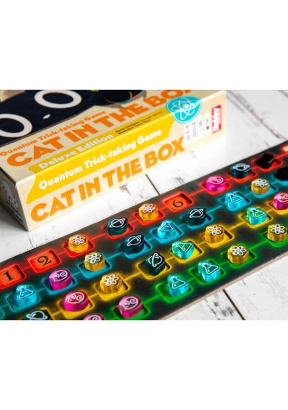Cat in the Box4