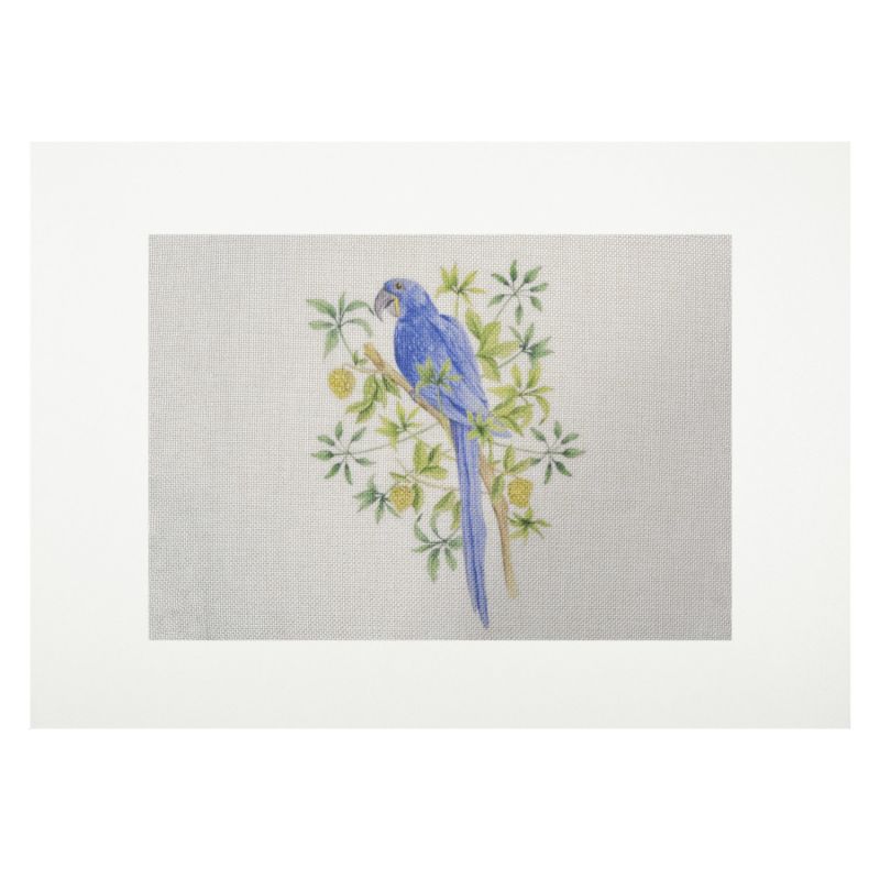 Lienzo para bordar Guacamayo Azul
