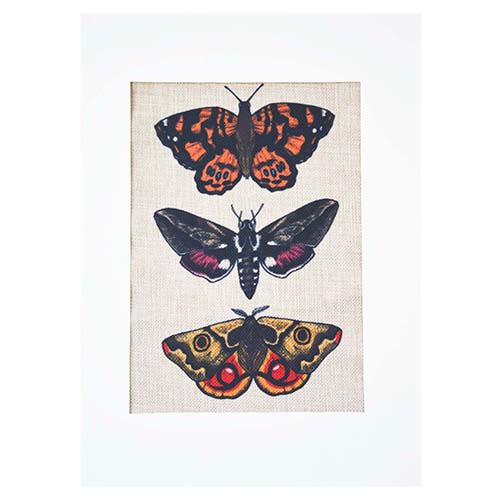 Lienzo para bordar Mariposas