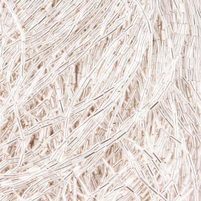 Canutillo Checo Blanco Iris1