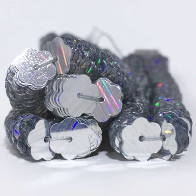 Lentejuela Jazmin 6mm Plata 1002 HR1