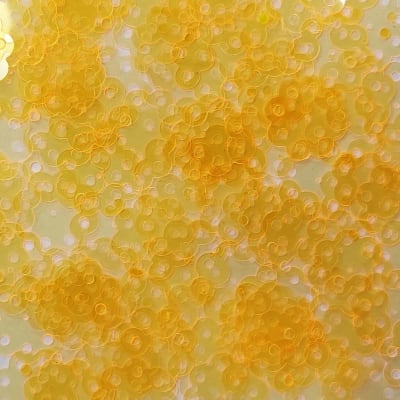 Lentejuela Girasol 20mm 267 Naranjo fluor traslúcido