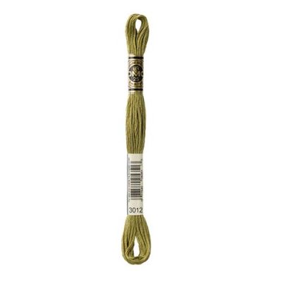 Hilo para bordar DMC Mouliné 30121