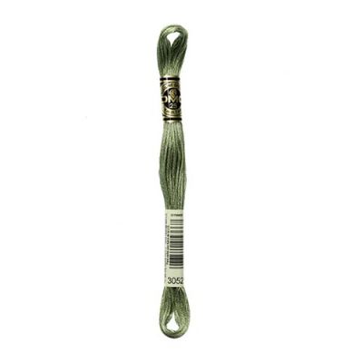 Hilo para bordar DMC Mouliné 30521