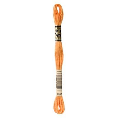 DMC Mouline 38541