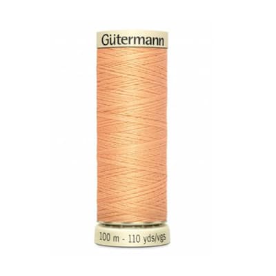 Hilo poliester  100mt 4591