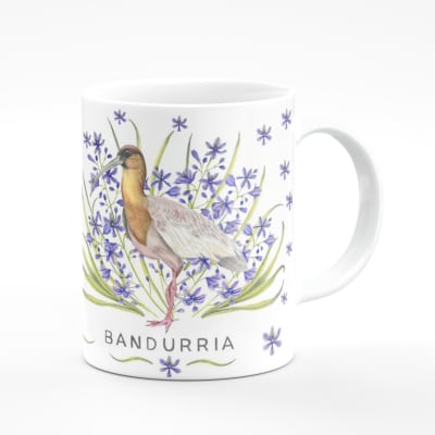 Tazon Bandurria1