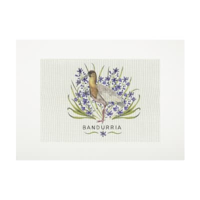 Lienzo para bordar Bandurria1
