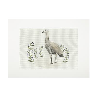 Lienzo para bordar Caiquén Macho