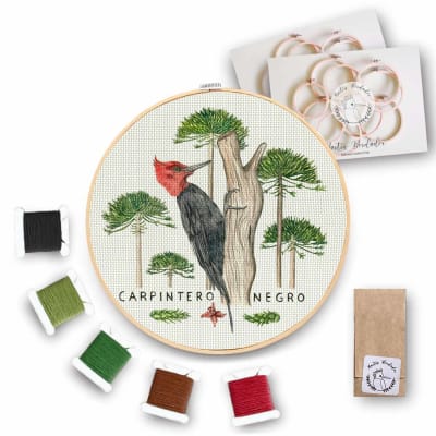 Mini Kit para bordar Carpintero Negro
