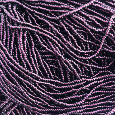 Mostacilla calibrada N.11 Uva claro