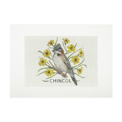 Lienzo para bordar Chincol1