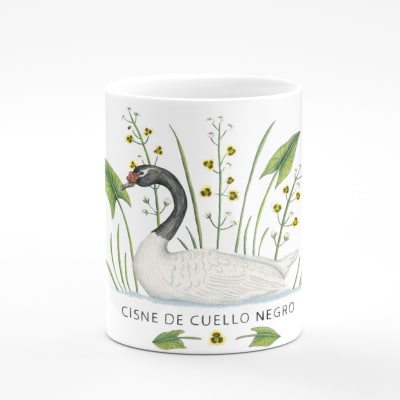 Tazon Cisne cuello negro